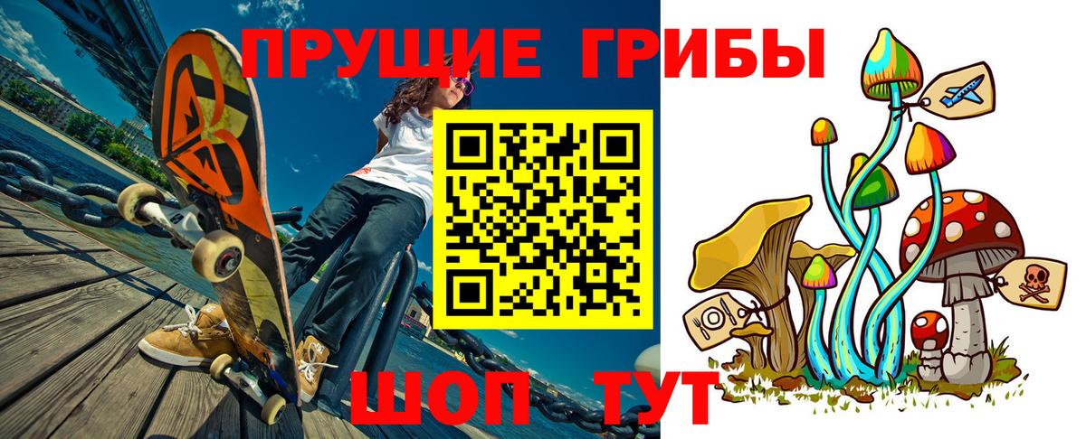 Гудермес  Галлюциногенные грибы Psilocybe  как найти закладки  Вход с VPN 