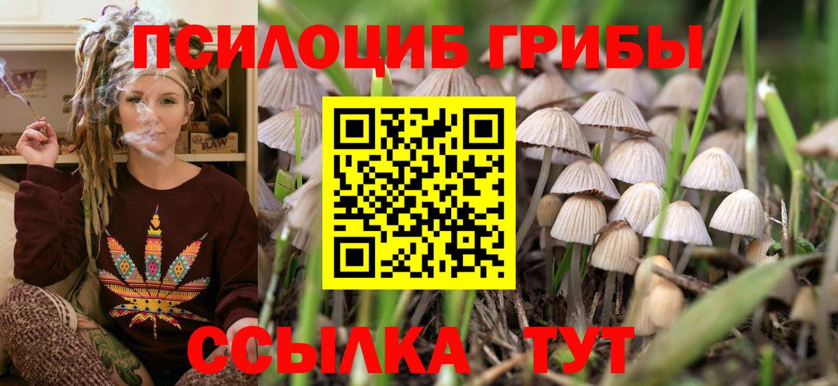 Псилоцибиновые грибы Magic Shrooms Гудермес
